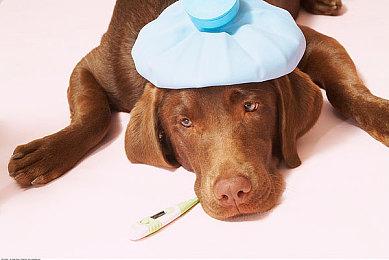 《孤岛惊魂6》《怪奇物语》联动任务头10分钟演示